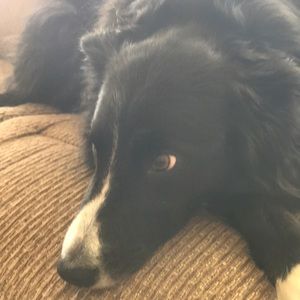 Meet your Posher, Lori